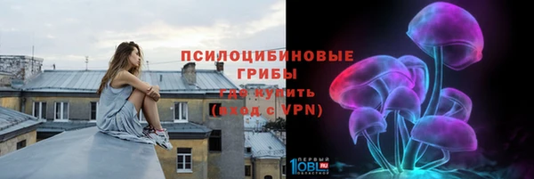 МДПВ Заводоуковск