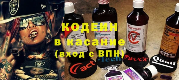 шишки Иннополис