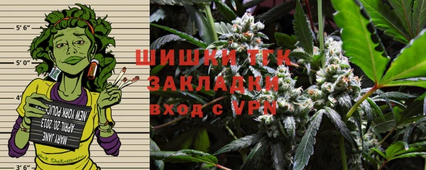МДПВ Заводоуковск